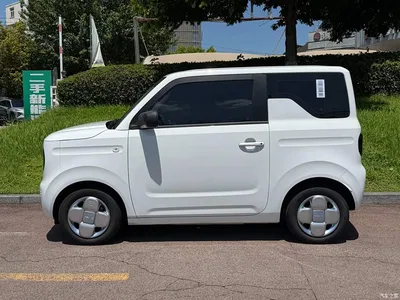 2024 Geely Galaxy Panda mini 200km Endurance Bear, фото 3, лот 10428505