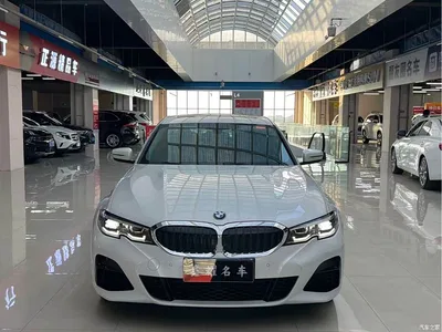 2020 BMW 3 Series 320Li M Sport Package, фото 2, лот 10598814