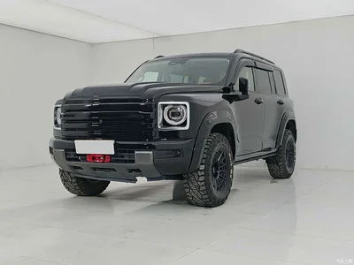 2024 Haval H9 2.0T Gasoline AWD Extreme Edition, фото 1, лот 10295931