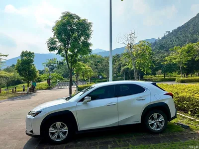 2019 Lexus UX 260h Explorer Cool Edition (China V), фото 4, лот 10315907