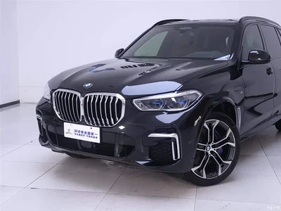 2022 BMW X5 Facelift xDrive 40Li Premium M Sport Package, фото 3, лот 10408538