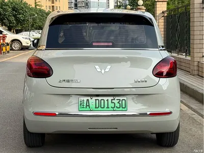 2024 Wuling Motors Wuling Bingo 333km Smart Connect Edition, фото 4, лот 10453087