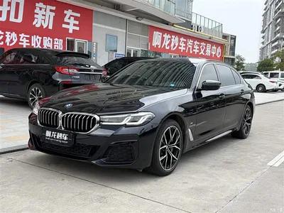 2022 BMW 5 Series Facelift II 530Li Premium Package M Sport, фото 1, лот 11135544