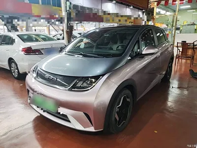 2021 BYD Dolphin Model 405km Fashion Edition, фото 1, лот 10479135