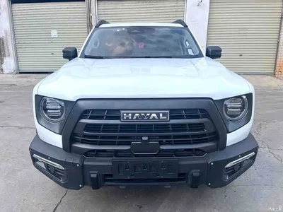 2024 Haval Big Dog 2.0T DCT Chinese Rural Dog Edition, фото 2, лот 10362004