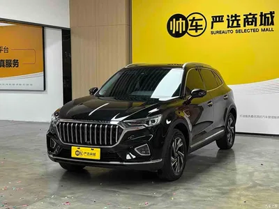 2022 Hongqi HS5 2.0T Smart Connect Premium Edition, фото 1, лот 10443089