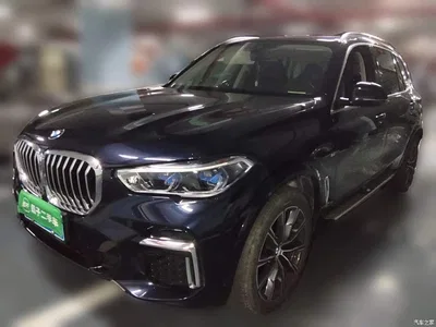2022 BMW X5 xDrive 30Li Premium M Sport Package, фото 1, лот 10390558
