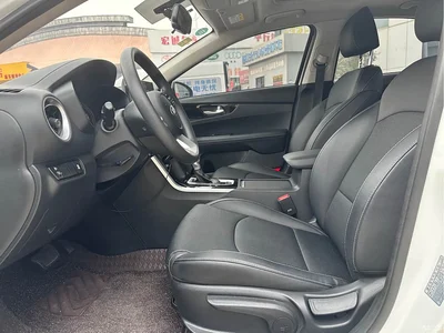 2019 Kia K3 1.5L CVT Smart Connect Edition, фото 4, лот 10331806
