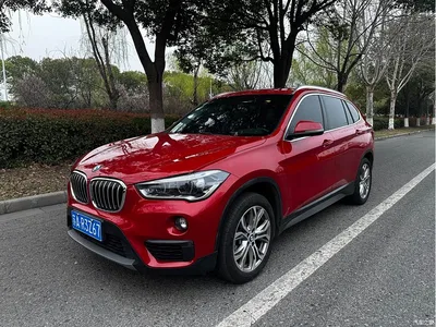 2019 BMW X1 sDrive20Li Leading Model, фото 1, лот 10466762