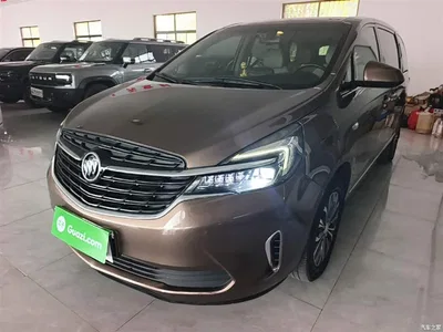 2020 Buick GL8 Model Land Business Class 652T Luxury, фото 2, лот 10262309
