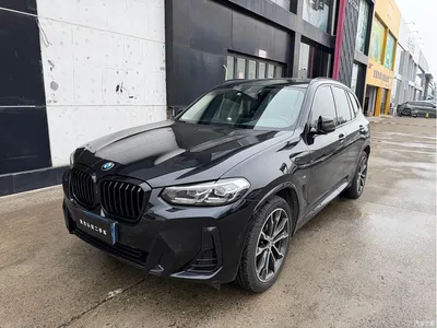 2023 BMW X3 xDrive30i Leading M Night Package, фото 1, лот 10765356