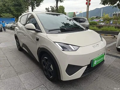 2025 BYD Seagull Smart Drive Edition 305km Freedom Version, фото 4, лот 10830324
