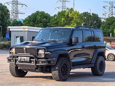 2021 Tank 300 Off-road Edition 2.0T Challenger, фото 1, лот 10344472