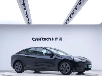 2022 Tesla Model 3 Model Rear-Wheel Drive Version, фото 3, лот 10363233