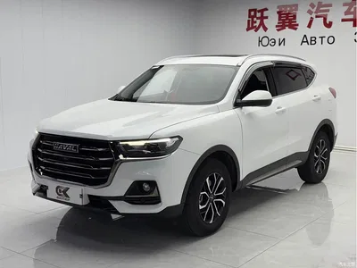 2021 Haval H6 National Trend Edition 1.5T Automatic Urban Edition, фото 1, лот 10282237