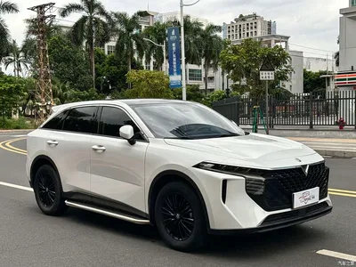 2021 Venucia Big V 260T Idol Edition, фото 3, лот 11153881
