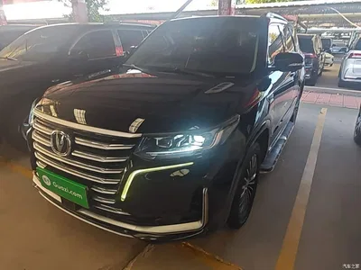 2019 Changan CS95 2.0T 2WD Luxury, фото 1, лот 11096452