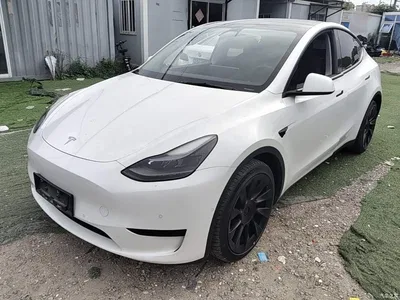 2022 Tesla Model Y Rear-Wheel Drive Version, фото 2, лот 11095833