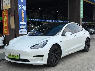 2021 Tesla Model 3 Standard Range Rear-Wheel Drive Upgrade 3D6, фото 1, лот 11218644