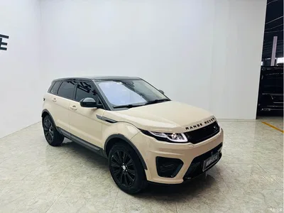 2016 Land Rover Range Rover Evoque 2.0T SE ZhiYao, фото 2, лот 10335885