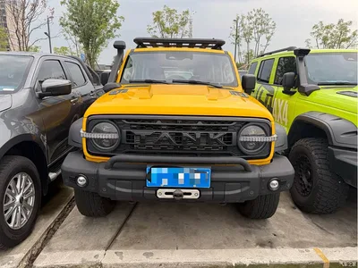2022 Tank 300 2.0T Border Limited Edition, фото 2, лот 10345039