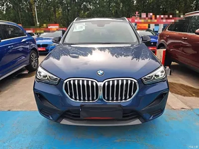 2021 BMW X1 Facelift sDrive25Li Leading, фото 3, лот 10467841