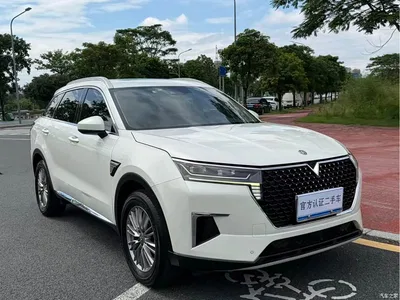 2021 Venucia Star 260T Auto 48V Mild Hybrid Star Edition, фото 3, лот 11153900