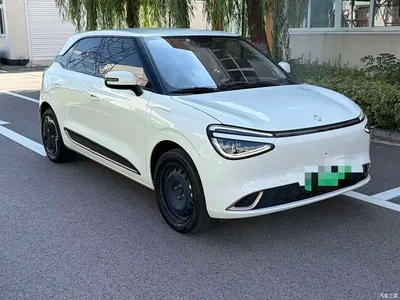 2025 Dongfeng Yipai Nano 01 330 Driving Training Edition, фото 3, лот 10833894