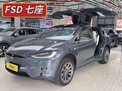 2019 Tesla Model X Long Range Version, фото 1, лот 10357029