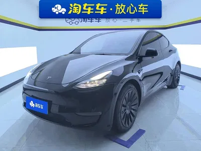 2021 Tesla Model Y Standard Range Rear-Wheel Drive, фото 1, лот 11202748