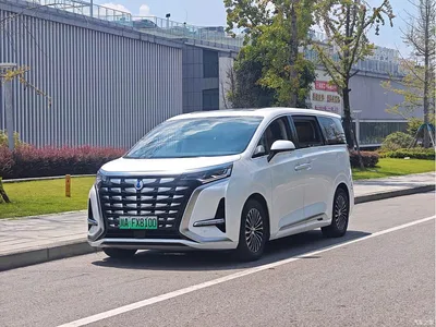 2024 Denza D9 DM-i 1050 Premium, фото 1, лот 10350996