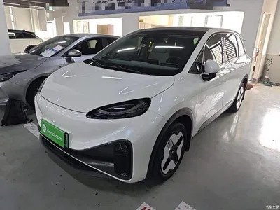 2024 ARCFOX Koala S PRO, фото 1, лот 11173113