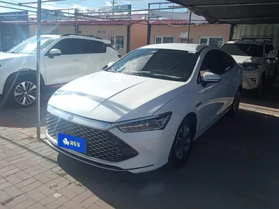 2024 BYD Qin PLUS Glory Edition DM-i 55KM Leading, фото 1, лот 10445381