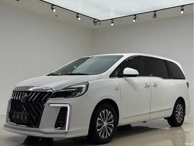 2022 Buick GL8 Land Business Class 652T Smart Prestige, фото 1, лот 11137992