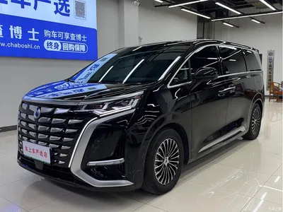 2024 Denza D9 DM-i 980 AWD Prestige, фото 1, лот 11568536
