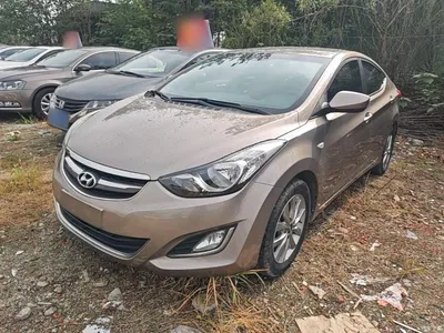 2015 Hyundai Langdong 1.6L Auto Trend, фото 1, лот 11182460