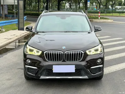 2019 BMW X1 xDrive20Li Luxury Model, фото 2, лот 11087458