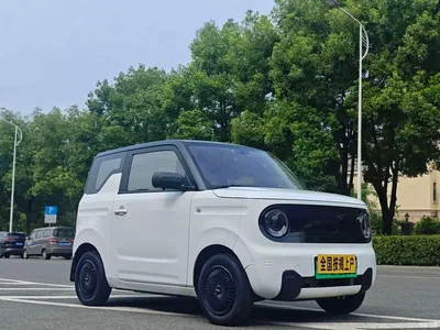 2023 Geely Galaxy Panda Mini 200km Endurance Bear, фото 3, лот 10431004