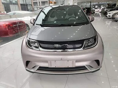 2021 BYD Dolphin 401km Knight Edition, фото 3, лот 10259739