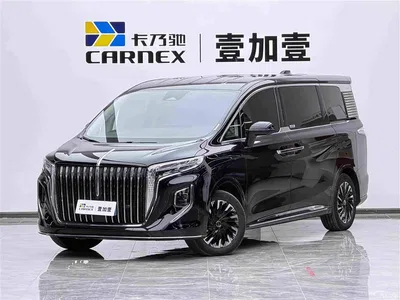 2024 Hongqi HQ9 Model 2.0T Luxury Edition, фото 1, лот 11196584