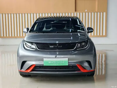 2021 BYD Dolphin Model 405km Fashion Edition, фото 2, лот 10258086