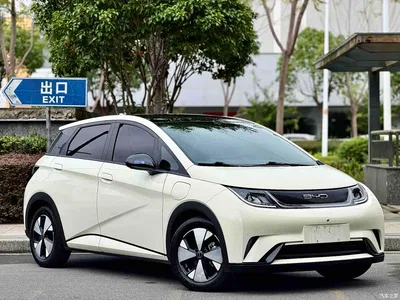 2023 Byd Dolphin, фото 3, лот 10243924