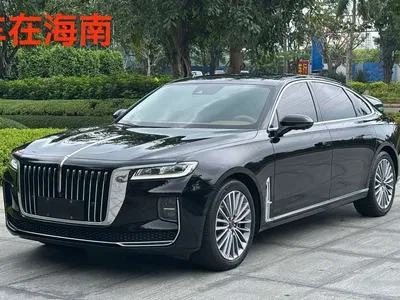 2020 Hongqi H9 2.0T Smart Connection Qi Xiang Edition, фото 1, лот 10383447
