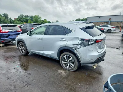 2019 LEXUS NX 300 BASE, фото 2, лот 10901060