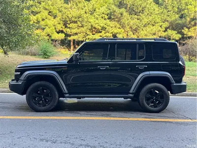 2021 Tank 300 Off-road Version 2.0T Conqueror, фото 2, лот 10482432