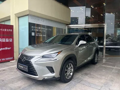 2020 Lexus NX 200 AWD F Sport China VI, фото 2, лот 11133313