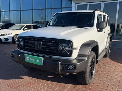 2023 Tank 300 Off-Road Edition 2.0T Conqueror, фото 1, лот 10345555
