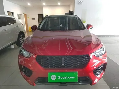 2017 WEY VV5 2.0T Super Luxury Model, фото 3, лот 10452239