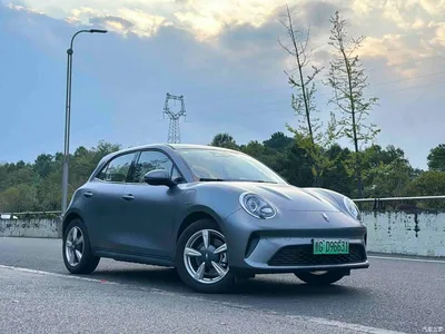 2025 Ora Good Cat 430km Honor Edition, фото 3, лот 10330624