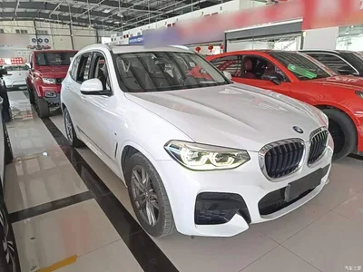 2020 BMW X3 xDrive28i M Sport Package, фото 4, лот 10461864